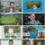 프리한19.E437.241014.1080p.H264-F1RST