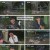 생존왕.E03.241021.1080p.H264-F1RST
