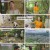 손대면 핫플! 동네멋집2.E08.241026.1080p.H264-F1RST