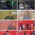 진심누나.E04.241026.1080p.H264-F1RST