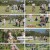 시골에 간 도시 Z.E08.241027.1080p.H264-F1RST