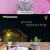 슈퍼맨이 돌아왔다.E555.241027.720p-NEXT