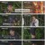 생존왕.E04.241028.1080p.H264-F1RST
