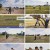 갈 데까지 간다.E01.241030.1080p.H264-F1RST