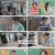 고딩엄빠5.E20.241030.1080p.H264-F1RST