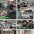 백패커2.E23.241103.1080p.H264-F1RST
