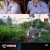 극한투어.E07.241103.720p-NEXT