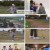 갈 데까지 간다.E02.241106.1080p.H264-F1RST