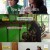 박원숙의 같이 삽시다 시즌3.E114.241107.720p-NEXT