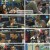 어서와~ 한국은 처음이지.E372.241107.1080p.H264-F1RST