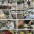 전현무계획2.E05.241108.1080p.H264-F1RST