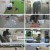 TV 동물농장.E1196.241110.1080p.H264-F1RST