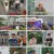 백패커2.E24.241110.1080p.H264-F1RST