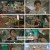 텐트 밖은 유럽 로맨틱 이탈리아.E05.241114.1080p.H264-F1RST