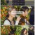 피크닉 라이브 소풍.E134.241115.1080p.WANNA