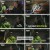 놀면 뭐하니.E257.241116.1080p.H264-F1RST