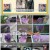 동물은 훌륭하다.E04.241116.1080p.WANNA