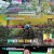 살림하는 남자들 시즌2.E368.241116.720p-NEXT