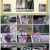 동물은 훌륭하다.E04.241116.1080p.WANNA