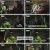 놀면 뭐하니.E257.241116.1080p.H264-F1RST