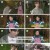 대장이 반찬.E02.241117.1080p.H264-F1RST