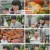 최강식탁.E12.241117.1080p.H264-F1RST