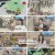 벌거벗은 세계사.E179.241126.1080p.H264-F1RST