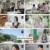 돌싱글즈6.E12.241128.1080p.H264-F1RST