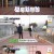 동물은 훌륭하다.E03.241130.720p-NEXT