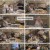토요일은 밥이 쏜다 (토밥쏜다).E01.241130.1080p.H264-F1RST