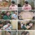 THE 맛있는 녀석들.E492.241206.1080p.H264-F1RST