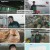 핸썸가이즈.E02.241208.1080p.H264-F1RST