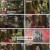 여권들고 등짝 스매싱.E14.241211.1080p.H264-F1RST