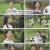 나는 SOLO 나는 솔로.E180.241218.1080p.H264-F1RST