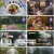 남의나라살아요선넘은패밀리.E63.241219.1080p.H264-F1RST