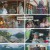 텐트 밖은 유럽 로맨틱 이탈리아.E10.241219.1080p.H264-F1RST