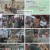니돈내산 독박투어3.E18.241221.1080p.H264-F1RST