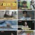 TV 동물농장.E1202.241222.1080p.H264-F1RST