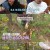 박원숙의 같이 삽시다 시즌3.E192.241226.720p-NEXT