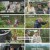 핀란드 셋방살이.E04.241227.1080p.H264-F1RST