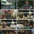 나 혼자 산다.E576.241227.1080p.H264-F1RST