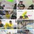 니돈내산 독박투어3.E19.241228.1080p.H264-F1RST