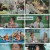 텐트 밖은 유럽 로맨틱 이탈리아.E12.250102.1080p.H264-F1RST