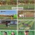 뭉쳐야 찬다 3.E62.250105.1080p.H264-F1RST