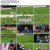 최강 럭비 죽거나 승리하거나.E13-E14(공개분모음).1080p.NF