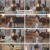유별난 역사 한 끼.E05.250109.1080p.H264-F1RST