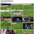 최강 럭비 죽거나 승리하거나.E13-E14(공개분모음).1080p.NF