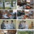 핀란드 셋방살이.E06.250110.1080p.H264-F1RST