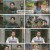 프리한19.E450.250113.1080p.H264-F1RST
