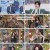엠카운트다운.E871.250116.1080p.H264-F1RST